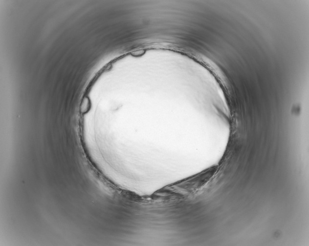 X0000090501051200708102236