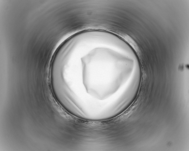 X0000090501052200708102236