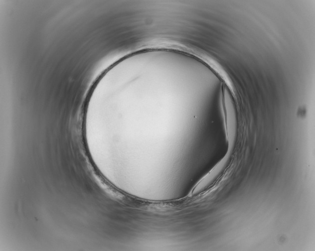 X0000090501053200708102236