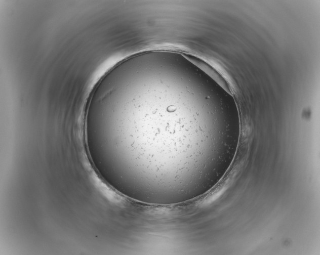 X0000090501054200708102237