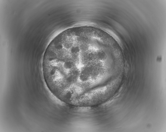 X0000090501055200708102237