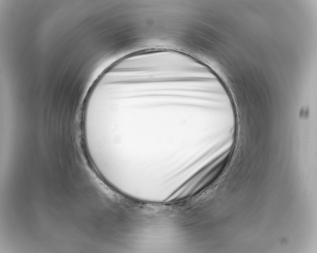 X0000090501056200708102237