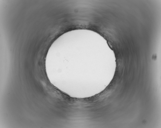 X0000090501057200708102236