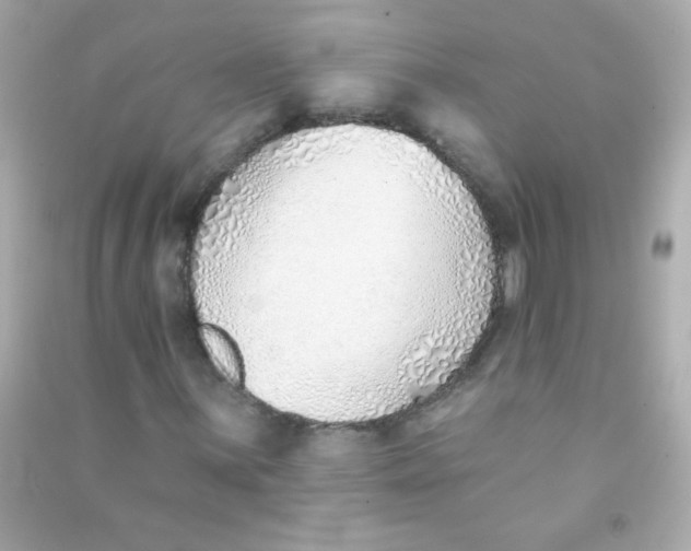 X0000090501059200708102236