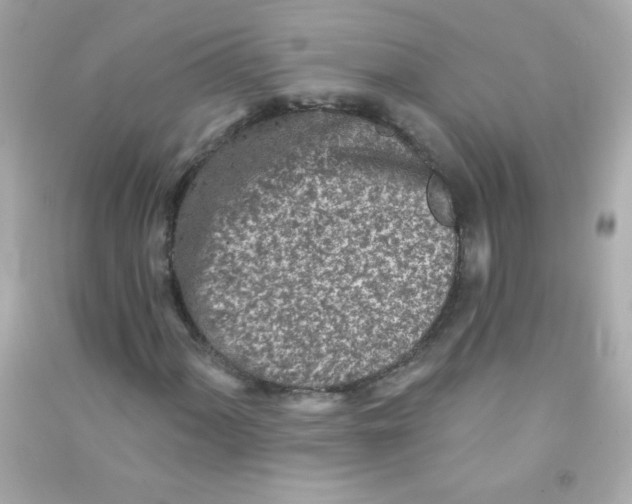 X0000090501060200708102236