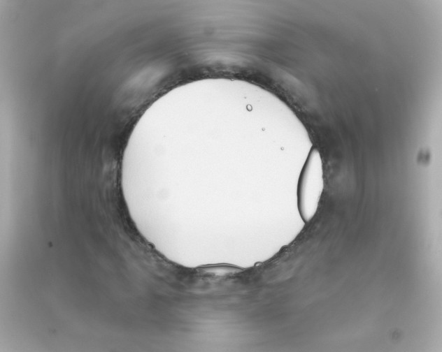 X0000090501061200708102236