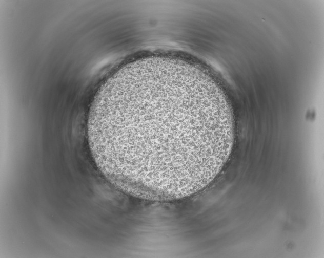 X0000090501063200708102236