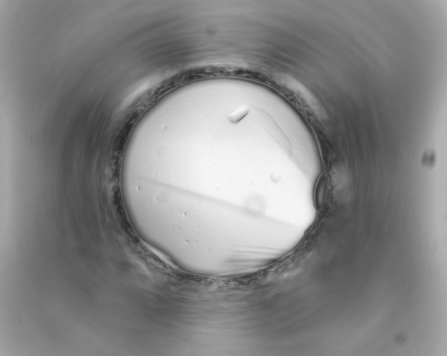 X0000090501064200708102236