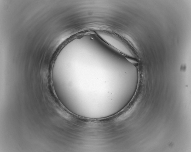 X0000090501065200708102236