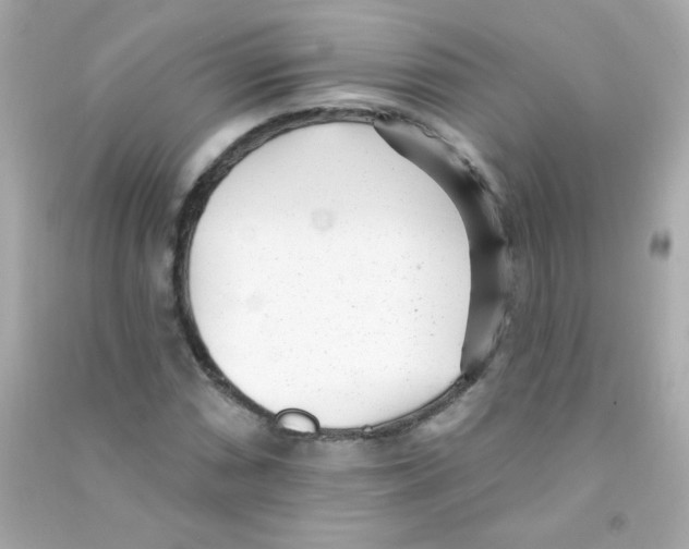 X0000090501066200708102236