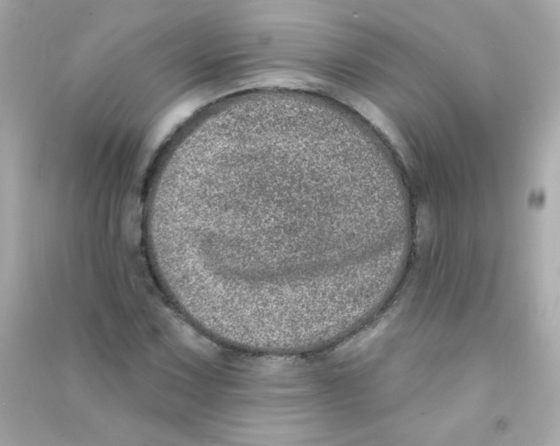 X0000090501067200708102236