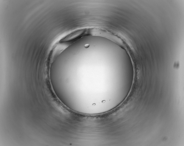 X0000090501069200708102236