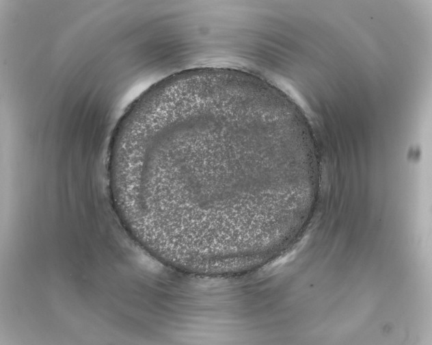 X0000090501071200708102236