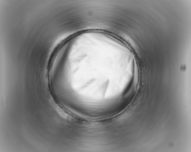 X0000090501072200708102236