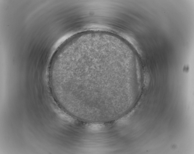 X0000090501074200708102236