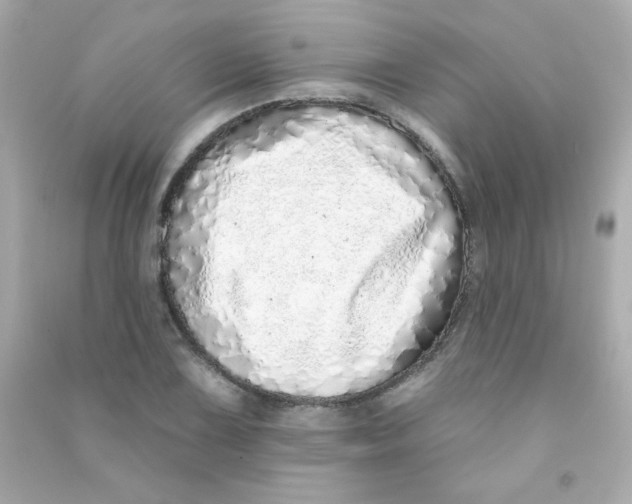 X0000090501075200708102236