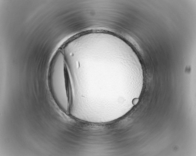 X0000090501076200708102236