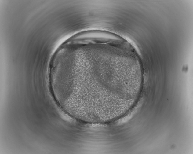 X0000090501077200708102236