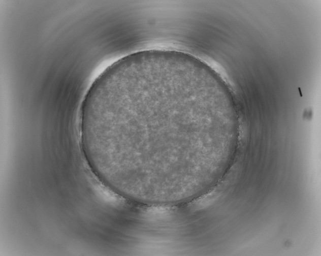 X0000090501078200708102236