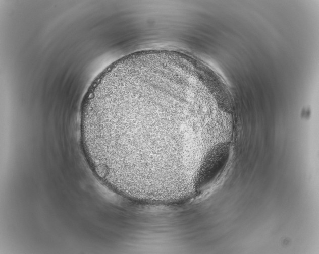 X0000090501079200708102236