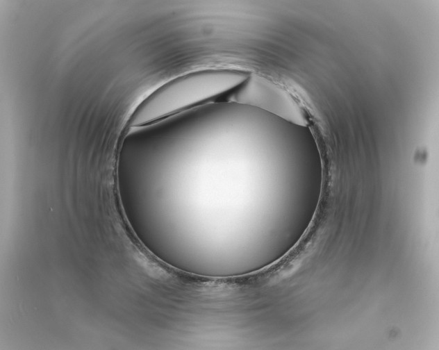 X0000090501081200708102236