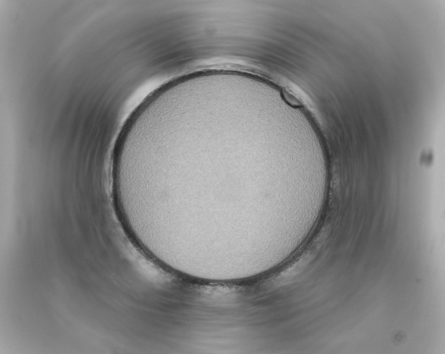 X0000090501082200708102236