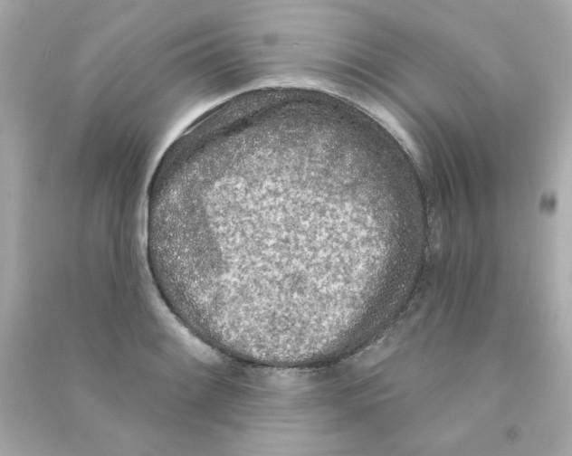 X0000090501084200708102236