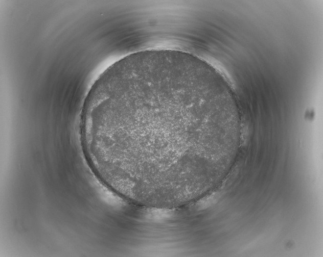 X0000090501086200708102235