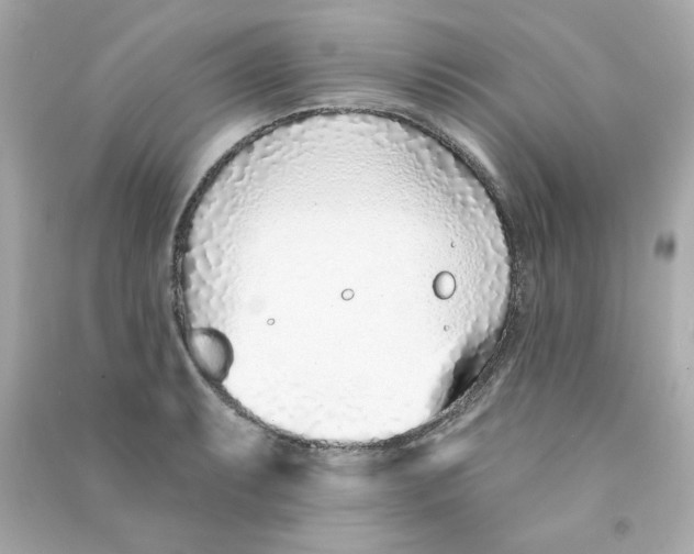 X0000090501087200708102235