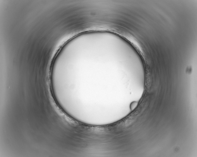 X0000090501088200708102235