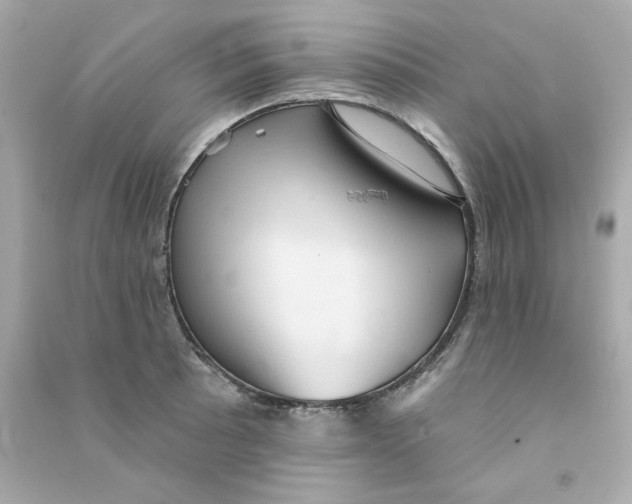 X0000090501089200708102235