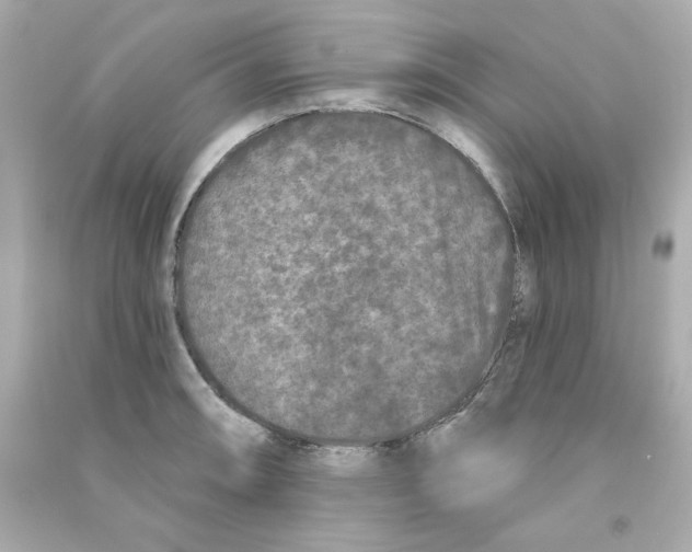 X0000090501090200708102235