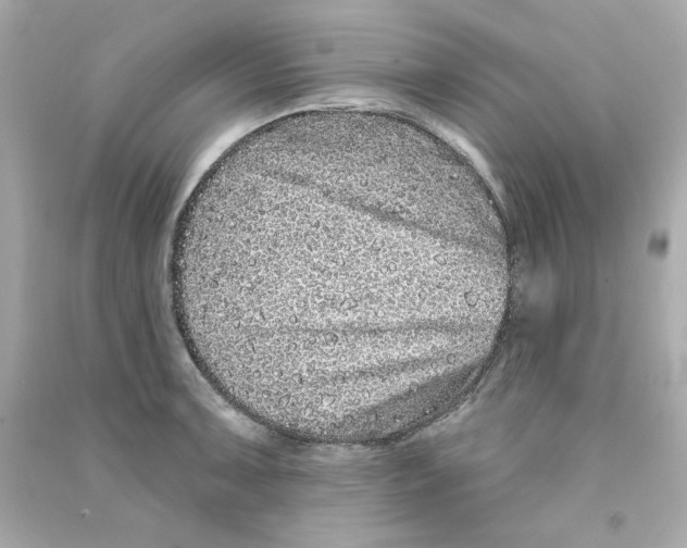 X0000090501091200708102235