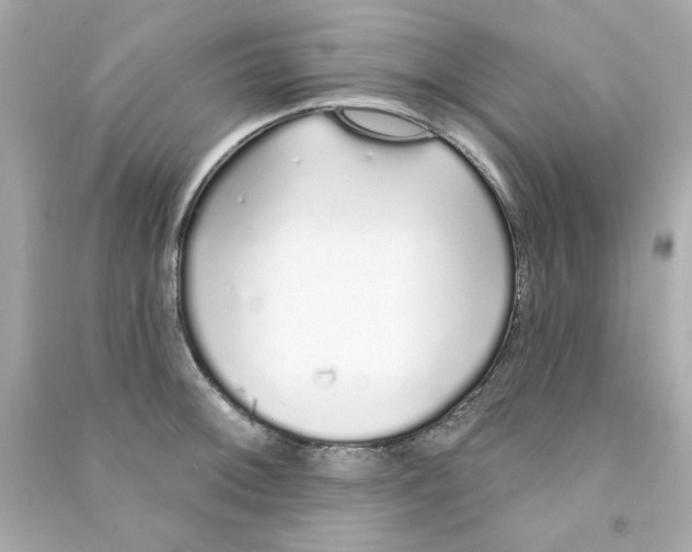 X0000090501092200708102235