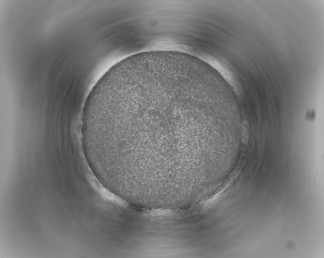 X0000090501094200708102235