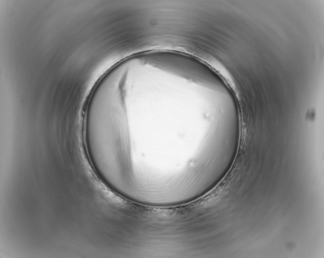 X0000090501096200708102235