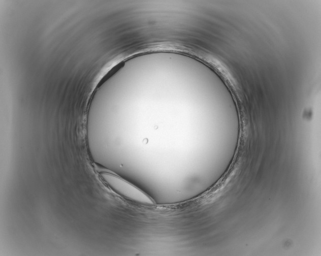 X0000090501097200708102235