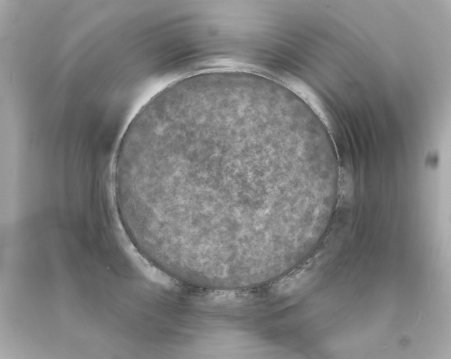 X0000090501098200708102235