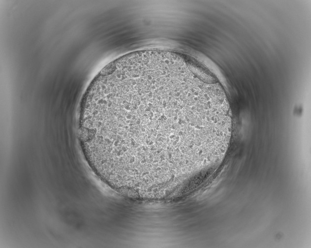 X0000090501099200708102235