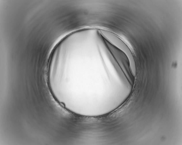 X0000090501100200708102235