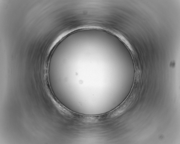 X0000090501101200708102235