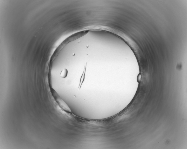 X0000090501102200708102235