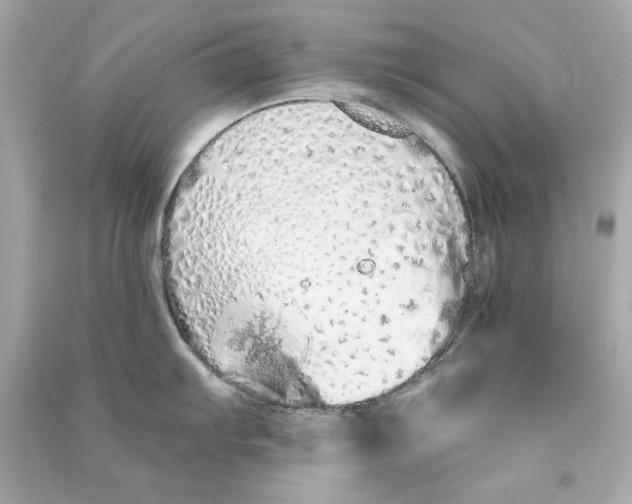 X0000090501103200708102235