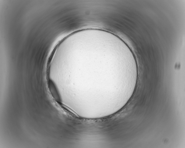 X0000090501104200708102235