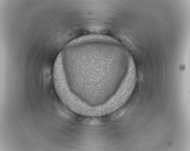 X0000090501106200708102234