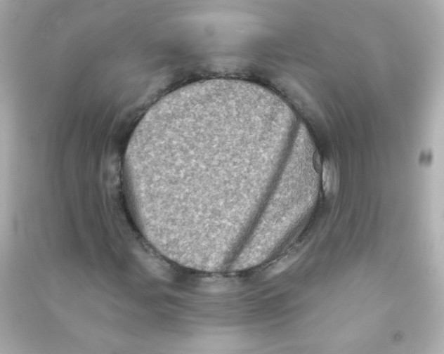 X0000090501107200708102234