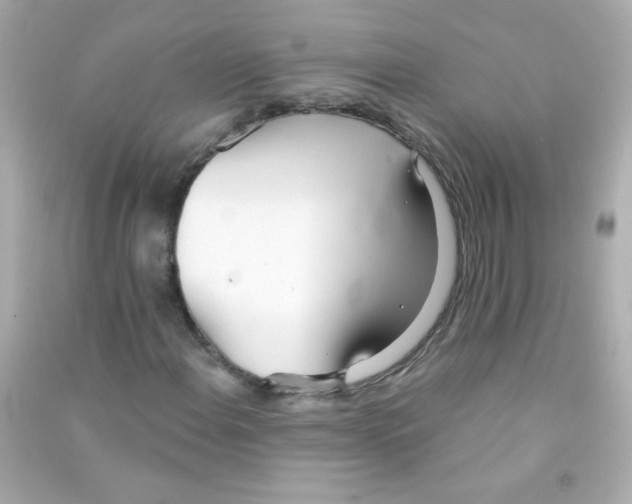 X0000090501108200708102234