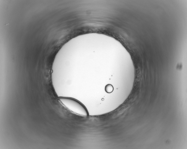 X0000090501109200708102234