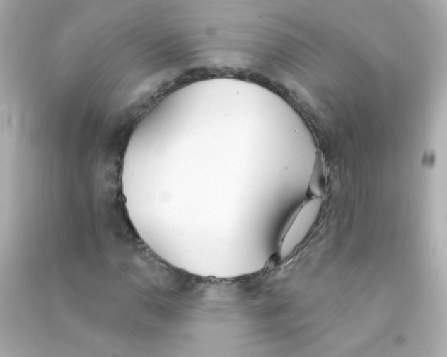 X0000090501110200708102234