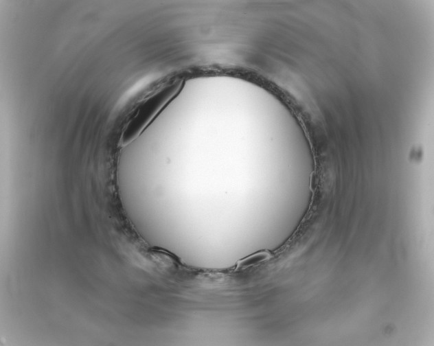 X0000090501112200708102234